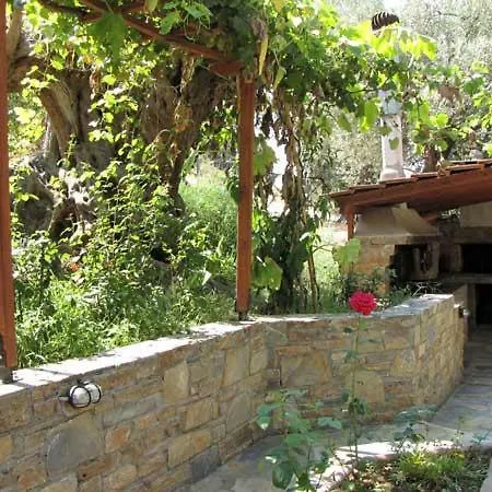 Niki House