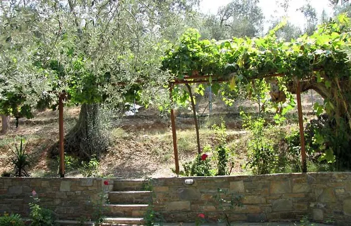 Niki House Χόρτο